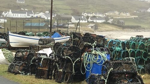 Ireland will have to reduce the fish it catches in UK waters by 25%