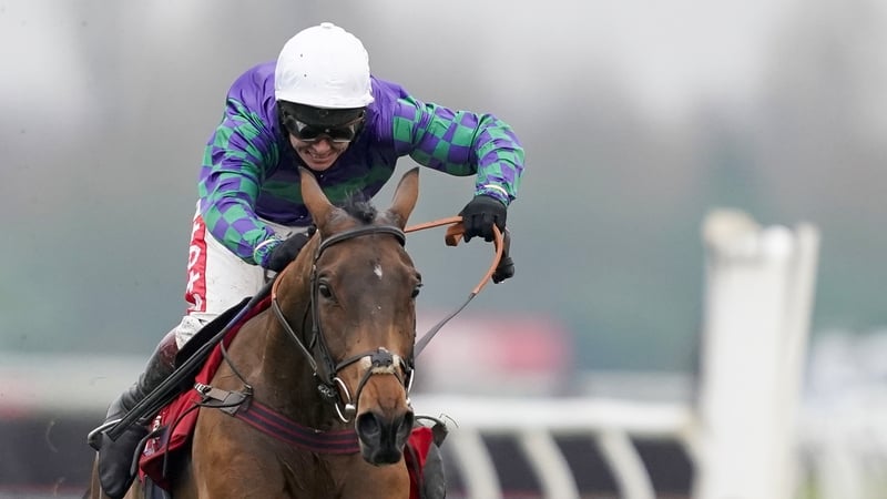 Thyme Hill was runner-up behind Paisley Park in the Long Walk Hurdle on his most recent outing