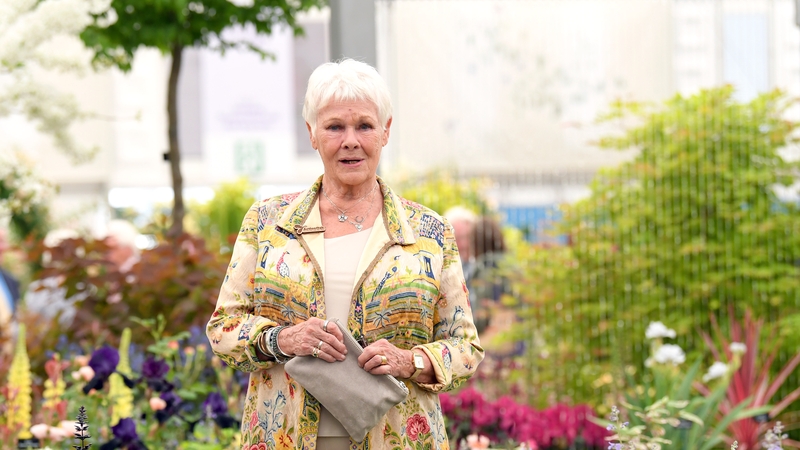 Judi Dench: "But on Zoom, everybody's looking at you. It's very, very disconcerting."