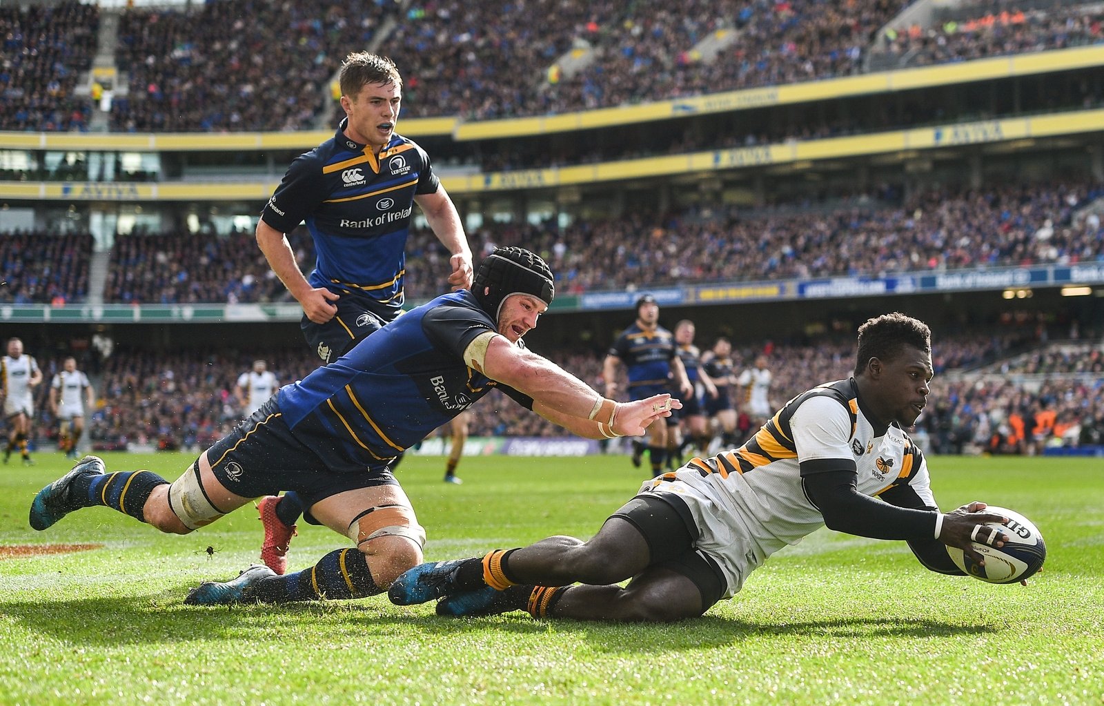 Wade scoring a try for Wasps against Leinster despite the attentions of Sean O'Brien