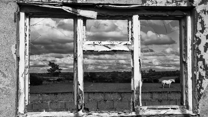 "It is the quality of the seeing not the themes or the places that matter." Photo: Paul Butler