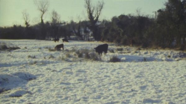 Snow-covered field (1986)