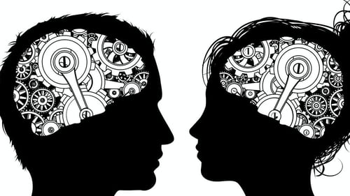 "Our study suggests people's level of brain androgyny may change over the life course." Photo: Shutterstock