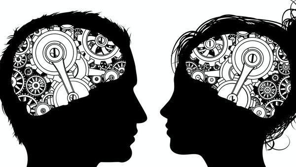 "Our study suggests people's level of brain androgyny may change over the life course." Photo: Shutterstock