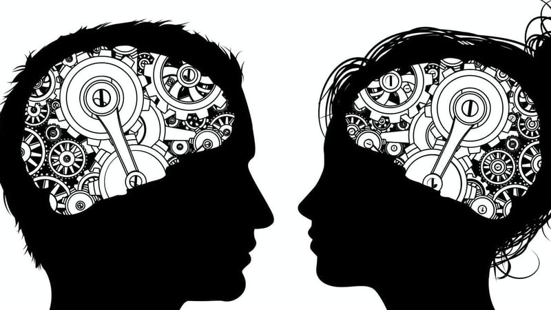 "Our study suggests people's level of brain androgyny may change over the life course." Photo: Shutterstock