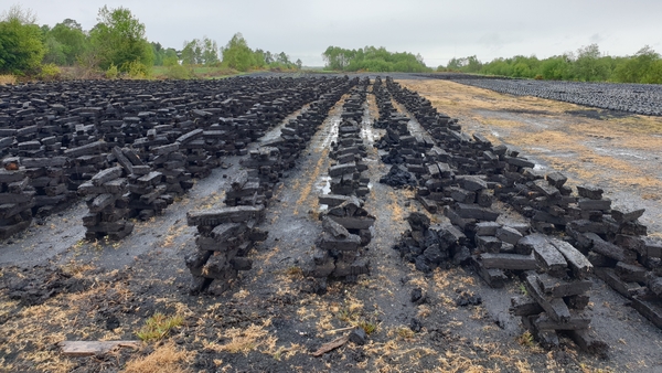 Bord na Móna has announced it is ending all peat harvesting