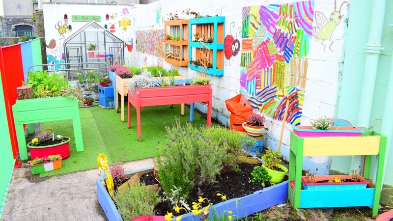 Last year's winners, St Patrick's primary school in Galway, created a Vertical Garden