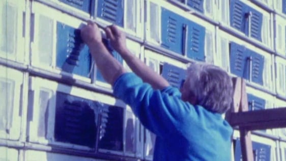 Pigeon Racing, Anything Goes (1986)