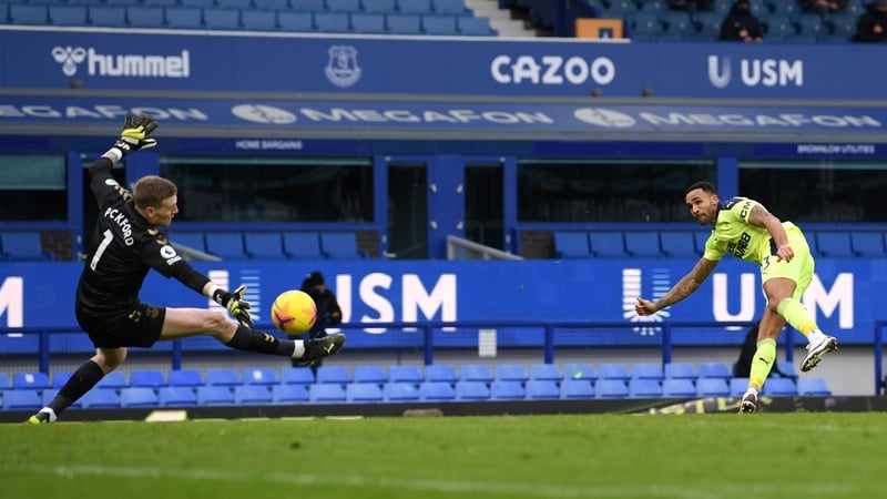Callum Wilson scores Newcastle's second