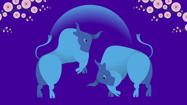 Chinese New Year - everything you need to know
