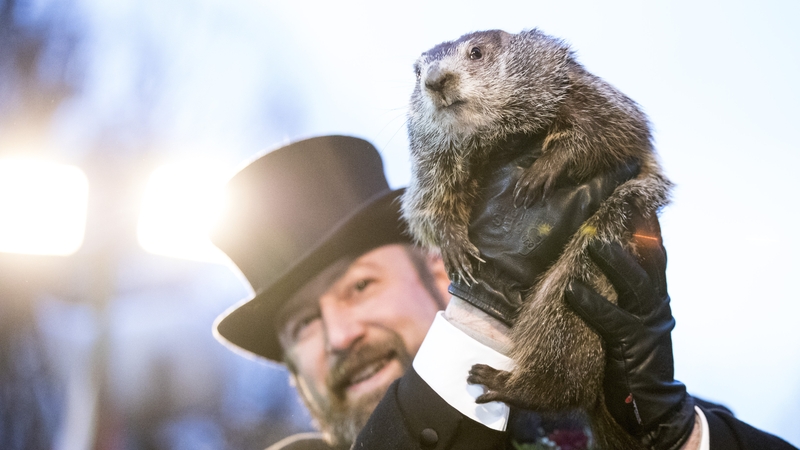 If Punxsutawney Phil sees his own shadow when he emerges from his burrow then there will be six more weeks of winter