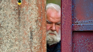 Where there's a will there's a way. The longing to get into grounds to see matches live and the frustration of being locked out have generated some ingenuity among fans. In Tuam Stadium, local man Martin Connolly finds a narrow viewing point at the gates.