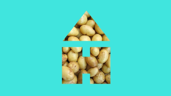 3rd and 4th Class: Geography - The potato