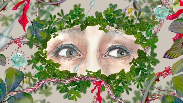 The Anatomy of Hope - artist Rita Duffy on her new animation