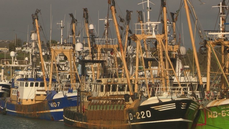 A report from Maynooth University found that two thirds of undocumented fishers work up to 20 hours a day