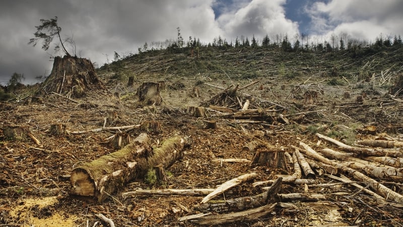 Researchers say the changing climate and habitat destruction have driven virus-carrying species into ever closer contact with humans