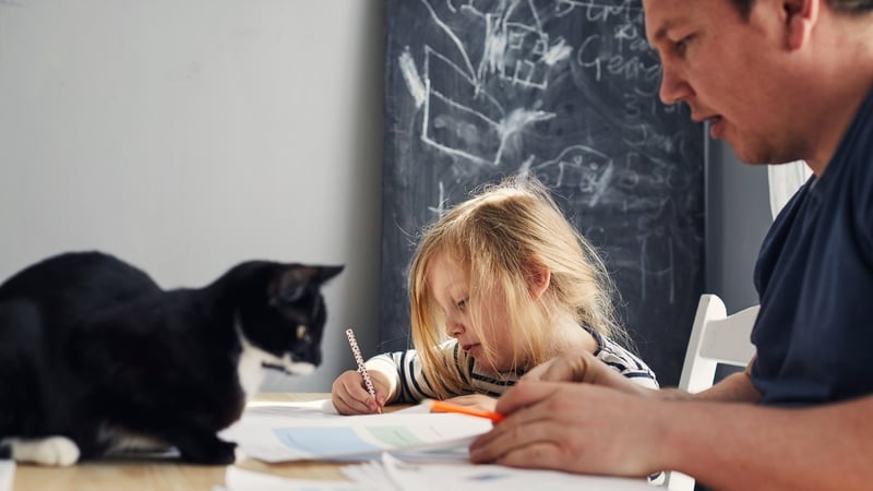 'Home education in Ireland spans a wide spectrum, from mainstream families to those with health, special needs or philosophical reasons for choosing it over traditional schooling'