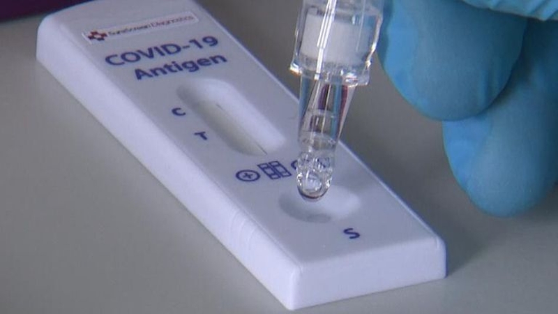 Antigen tests should only be used in 'controlled circumstances' says NPHET (file image)