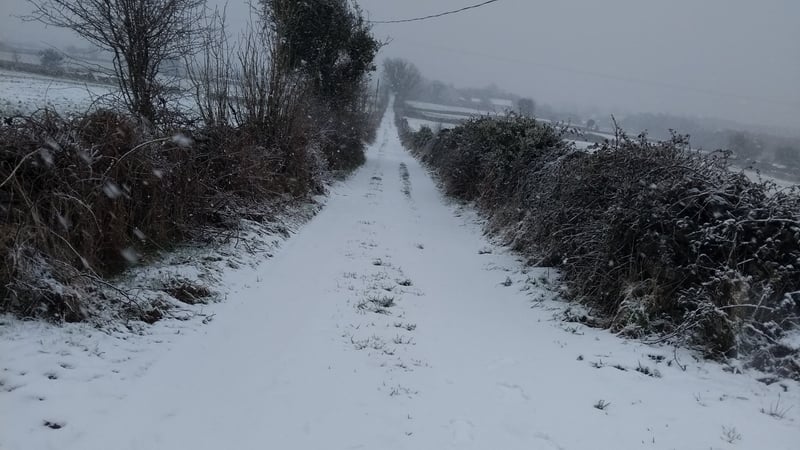 Snow yesterday in Moycullen, Co Galway (Pic: Mary Drury)