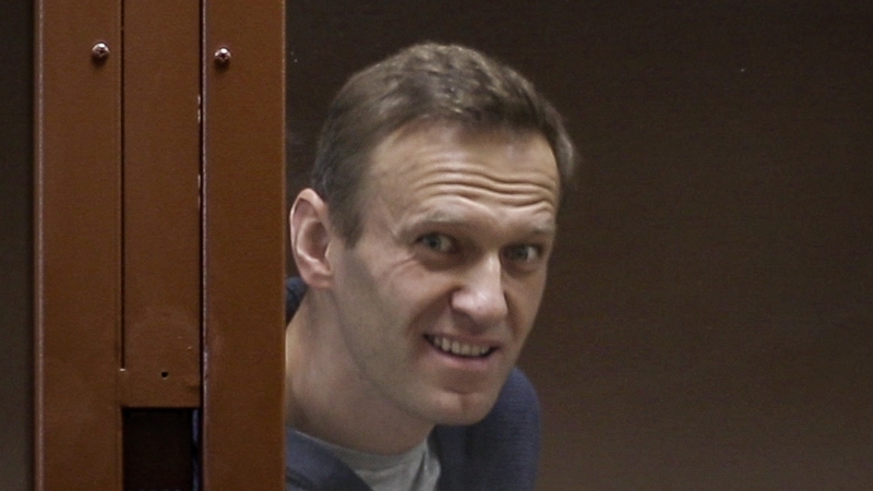 Hearing came a little over a week after Alexei Navalny was sentenced to serve nearly three years in jail