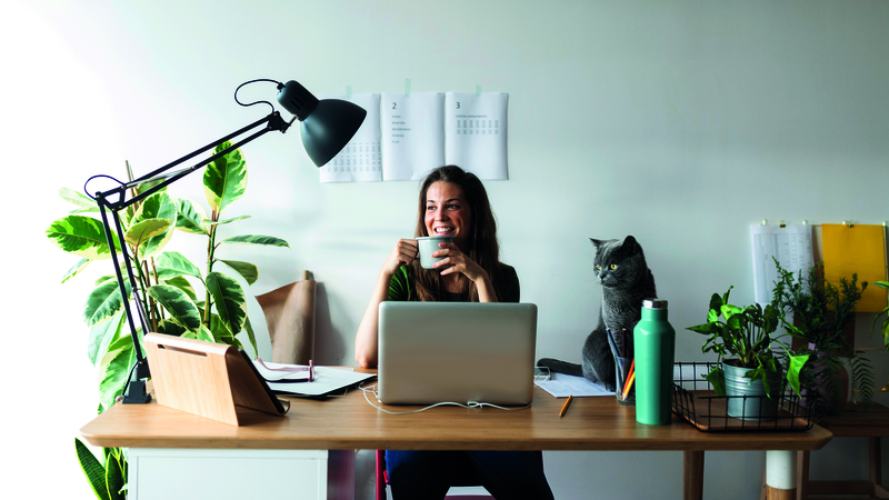 Top tips for creating a home office that can be easily achieved on a budget.