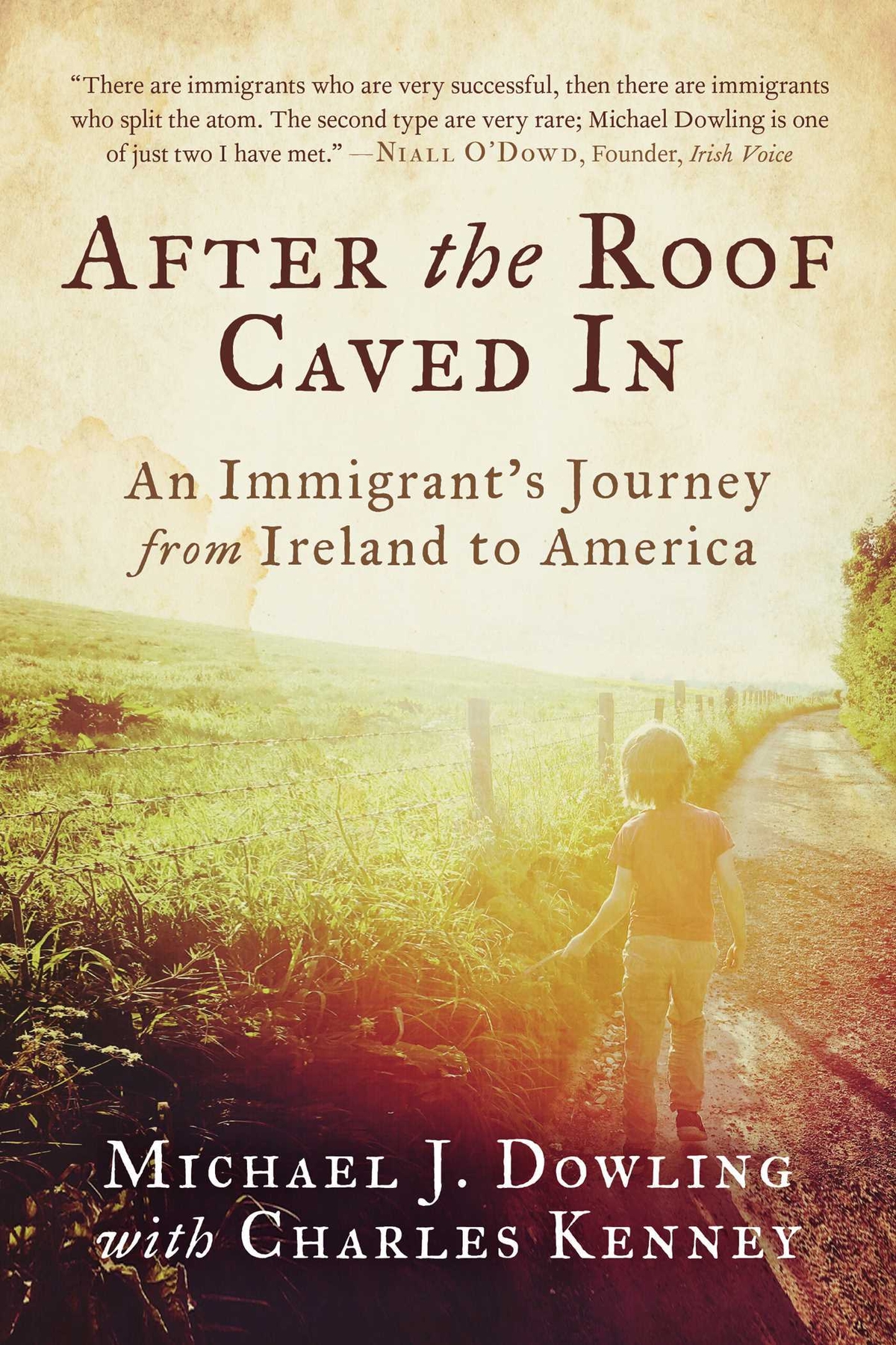 Michael Dowling - After the Roof Caved In