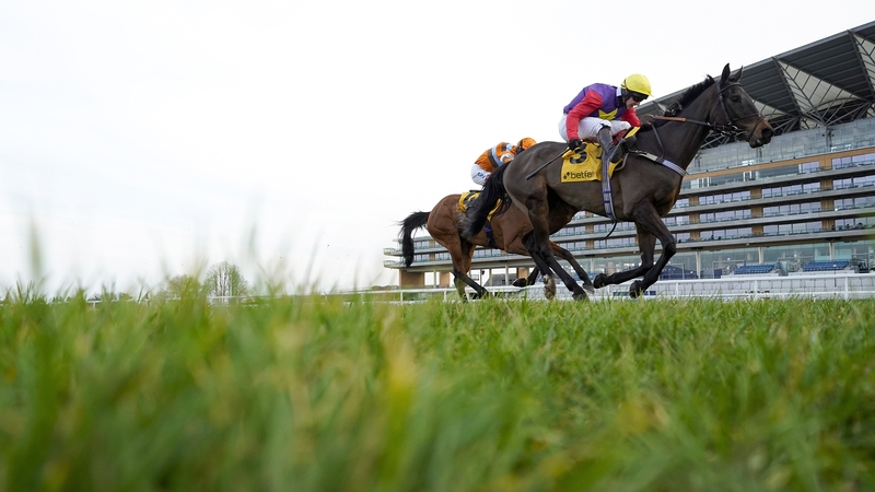 Dashel Drasher came home the 4-1 winner