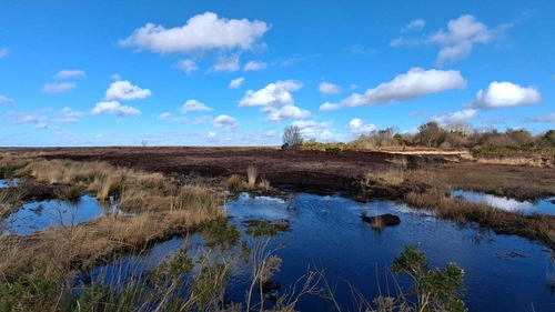 It is one of the country's largest raised bogs, covering 325 hectares (Image: Birdwatch Ireland)