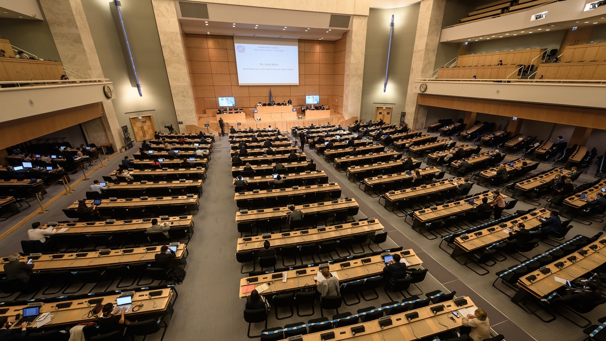 UN Food Systems Summit to endorse sustainable food systems