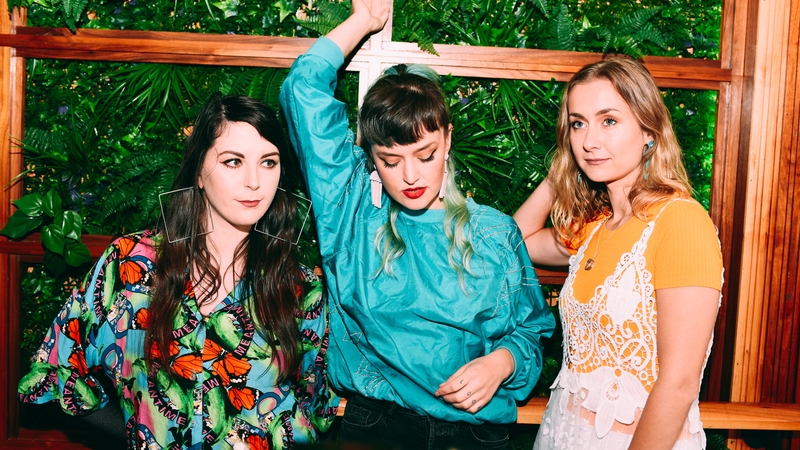 Wyvern Lingo. Photo credit: Miguel Ruiz