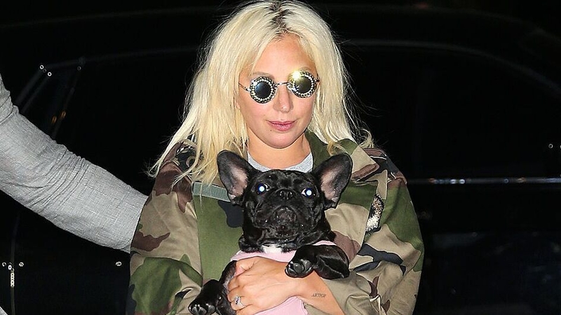 Gaga pictured with one of her dogs