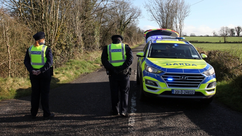 Gardaí say they are not looking for anyone else in connection with the deaths