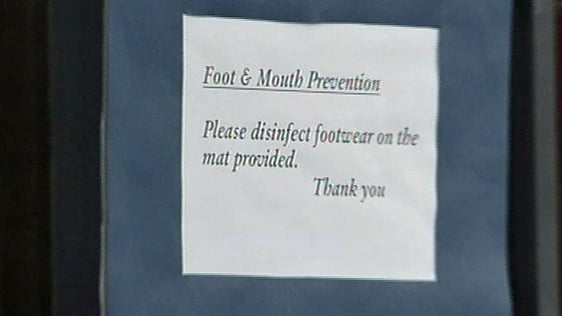 Foot and Mouth and the Tourism Industry (2001)