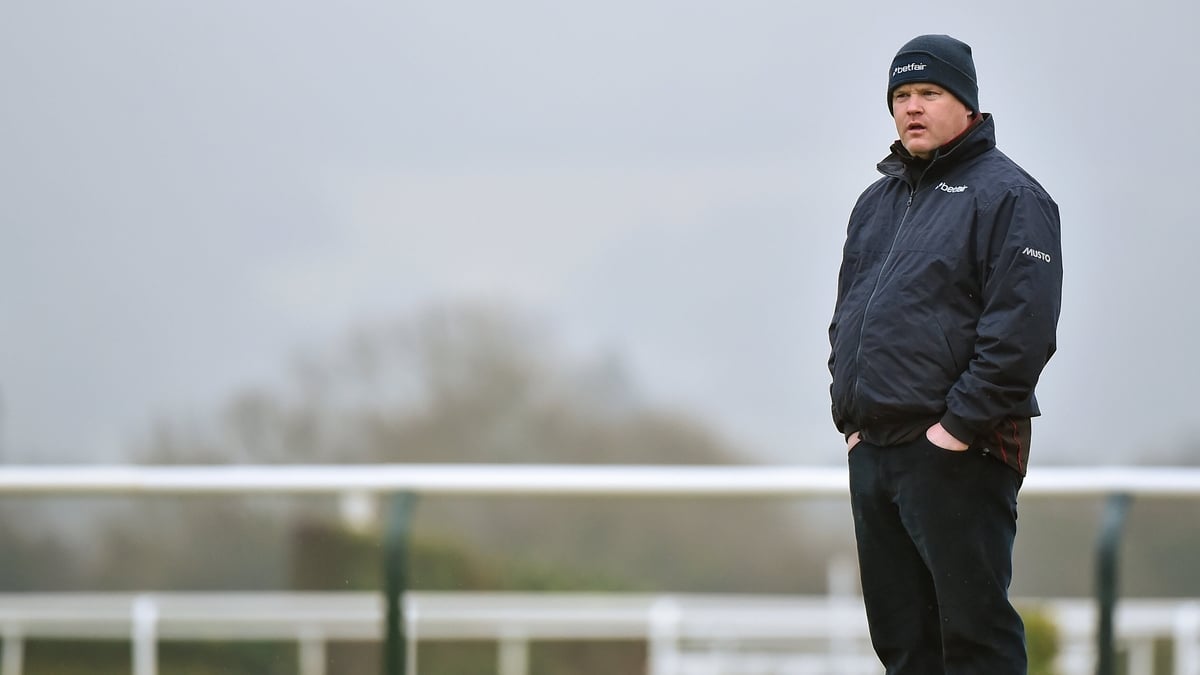 Picture Of Trainer, Gordon Elliott Sitting On A Dead Horse 
