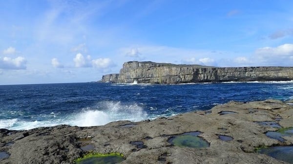 Sea Tamagotchi - Manchán Magan celebrates the language of the sea