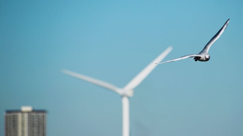 Just three wind energy projects received planning decisions between July and September, compared with five during the same period in 2023