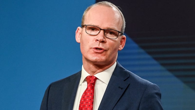 Mr Coveney said it was 'great to meet' with the Secretary of State on his way to the Middle East