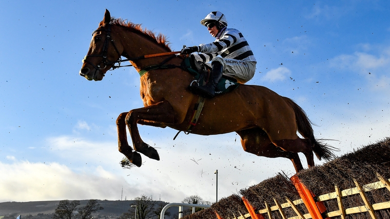 French Aseel, with Denis O'Regan up, clears a hurdle at Leopardstown last December