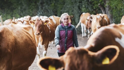 "Women tended to be very well-informed about agri-environmental schemes and so on because they were working in the area of agriculture and were able to bring all of that knowledge back to the farm". Photo: Getty Images