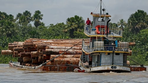 More than half of the destruction since 2002 has been in South America's Amazon and bordering rainforests