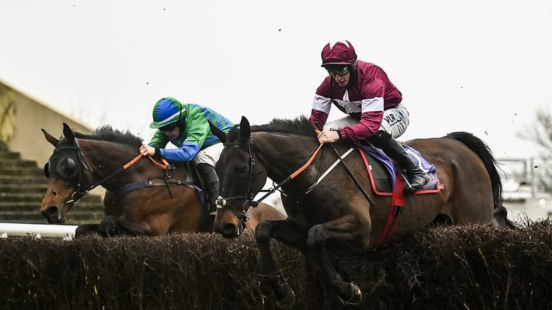 Defi Bleu was a winner at Wexford