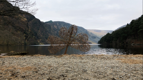 One of Aoife Patterson's willow shamrocks at Glendalough