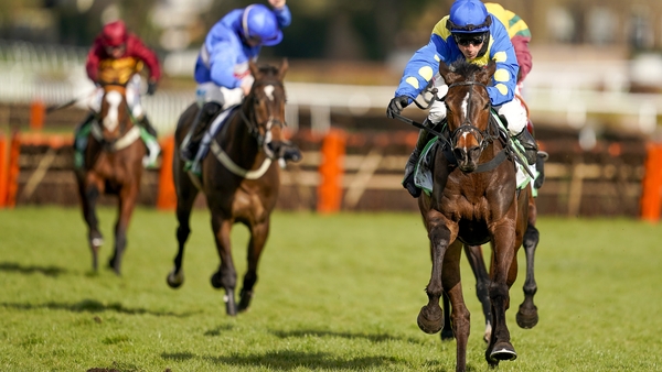 Langer Dan won his first two career outings last season, but had been winless in the interim
