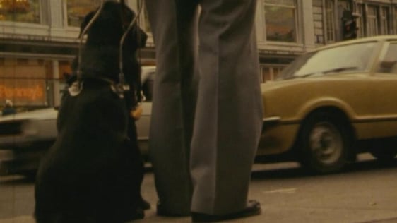 Man with guide dog, Patrick Street, Cork (1981)