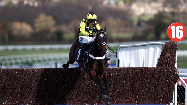 Shishkin had traded as the odds-on favourite for the Sandown feature