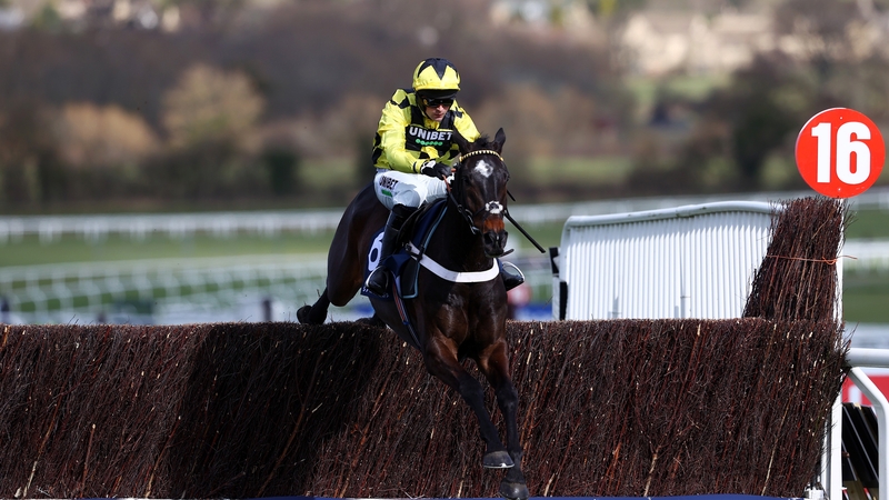 Shishkin has won all nine of his completed starts under Rules