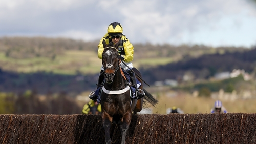 Shishkin is unbeaten in his eight completed starts under Rules