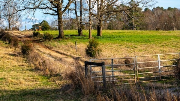 Farming Succession: "It's a process. It needs to be done in a tim