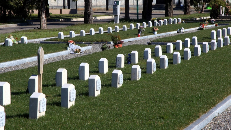 Tombs of the victims of Covid-19 in the cemetery of Milan