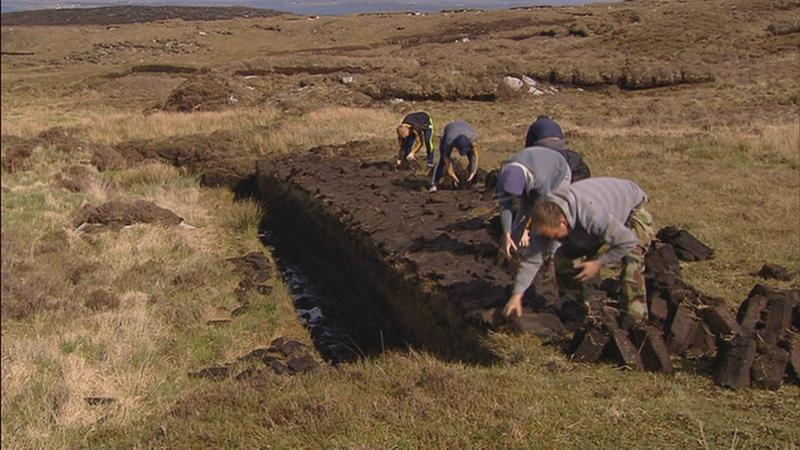 Bord na Móna has denied that it is stopping people on these bogs from cutting turf, and has said it is wrong to suggest that they are doing so